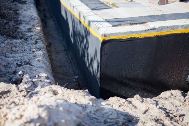 Professional Wet Basement Repair technician working in Erie, MI