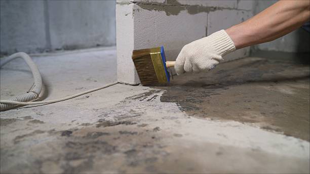24/7 Emergency Wet Basement Repair experts in Erie, MI
